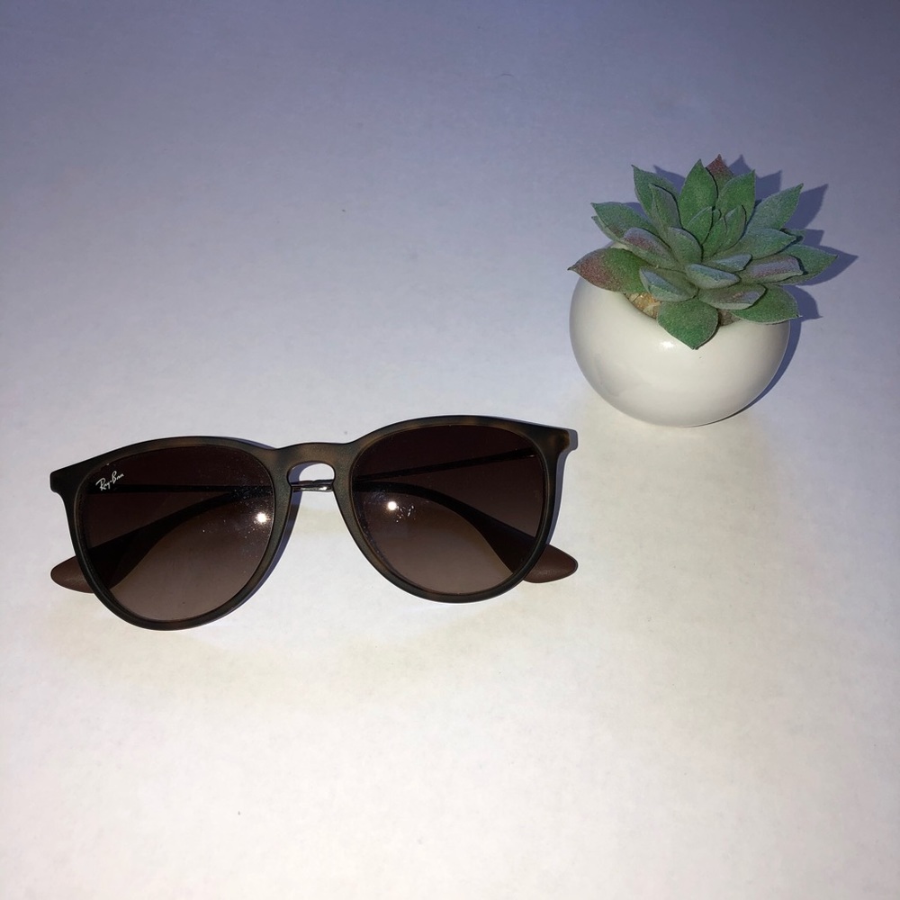 Ray-Ban Erika Tortoise Sunglasses